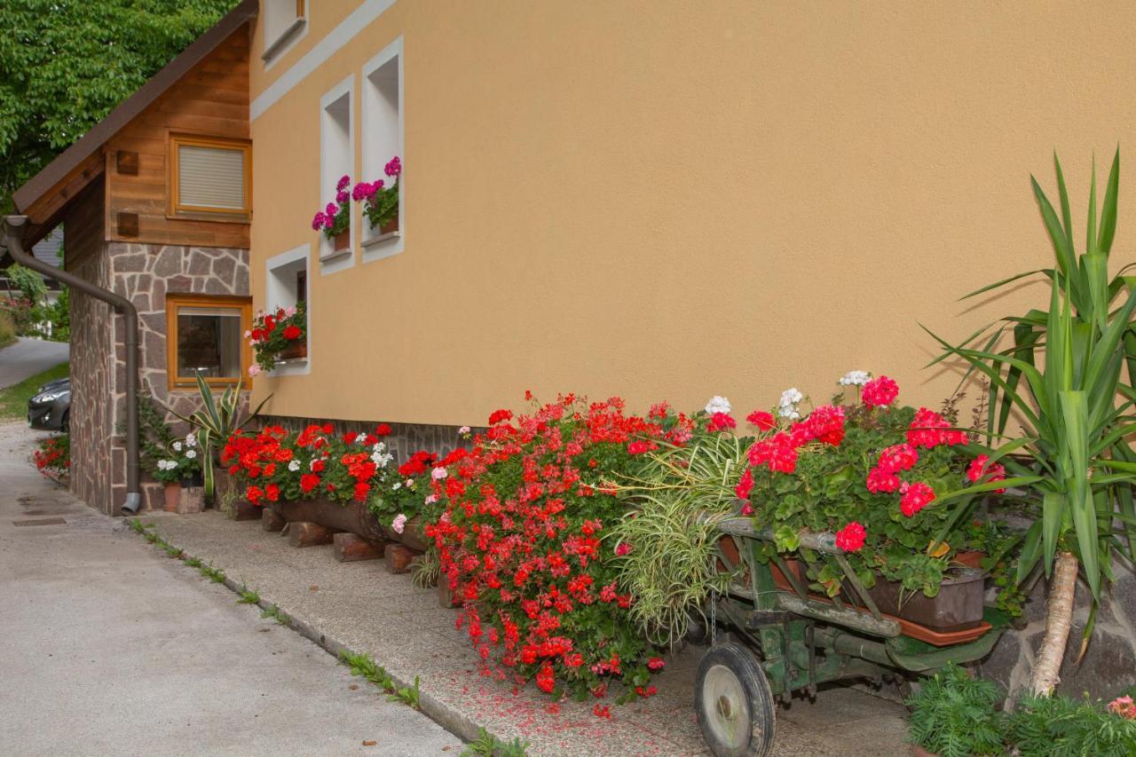 Apartmán Apartma Erlah Bohinj Exteriér fotografie